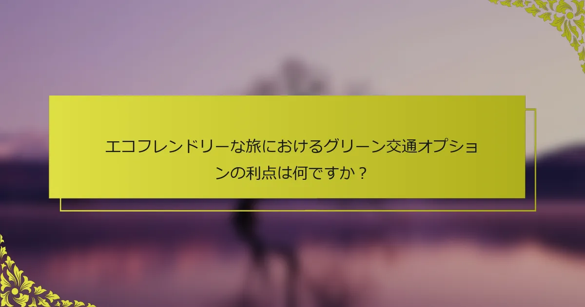 エコフレンドリーな旅におけるグリーン交通オプションの利点は何ですか？
