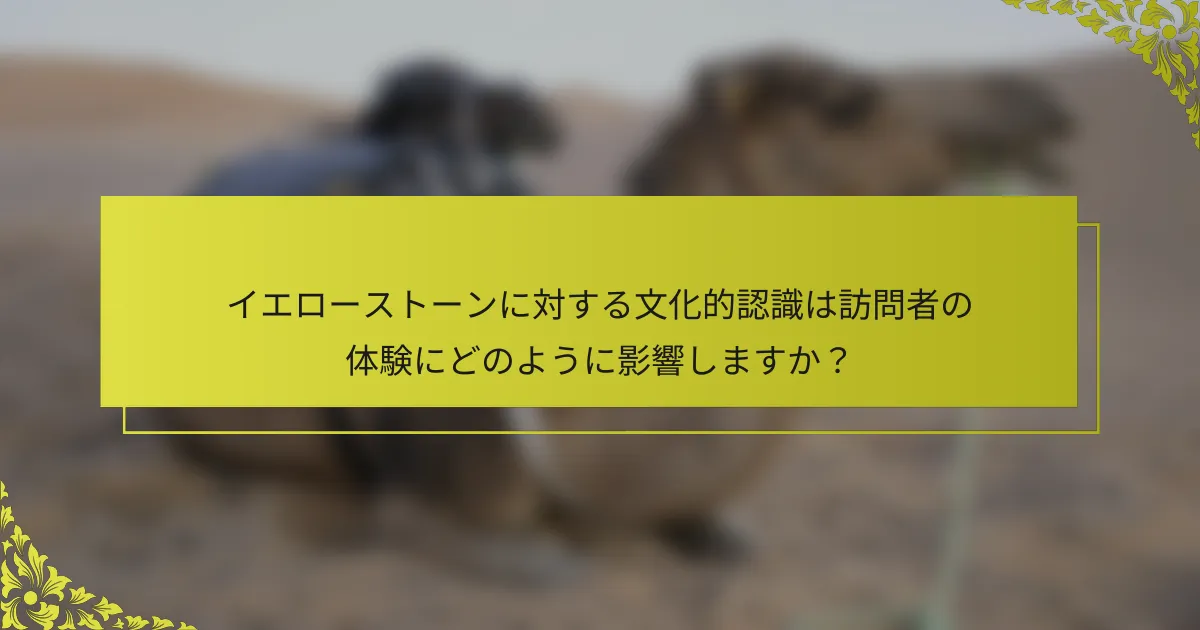 イエローストーンに対する文化的認識は訪問者の体験にどのように影響しますか？