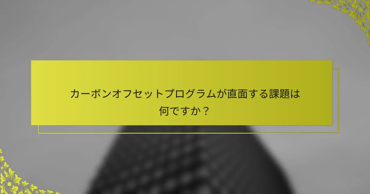カーボンオフセットプログラムが直面する課題は何ですか？