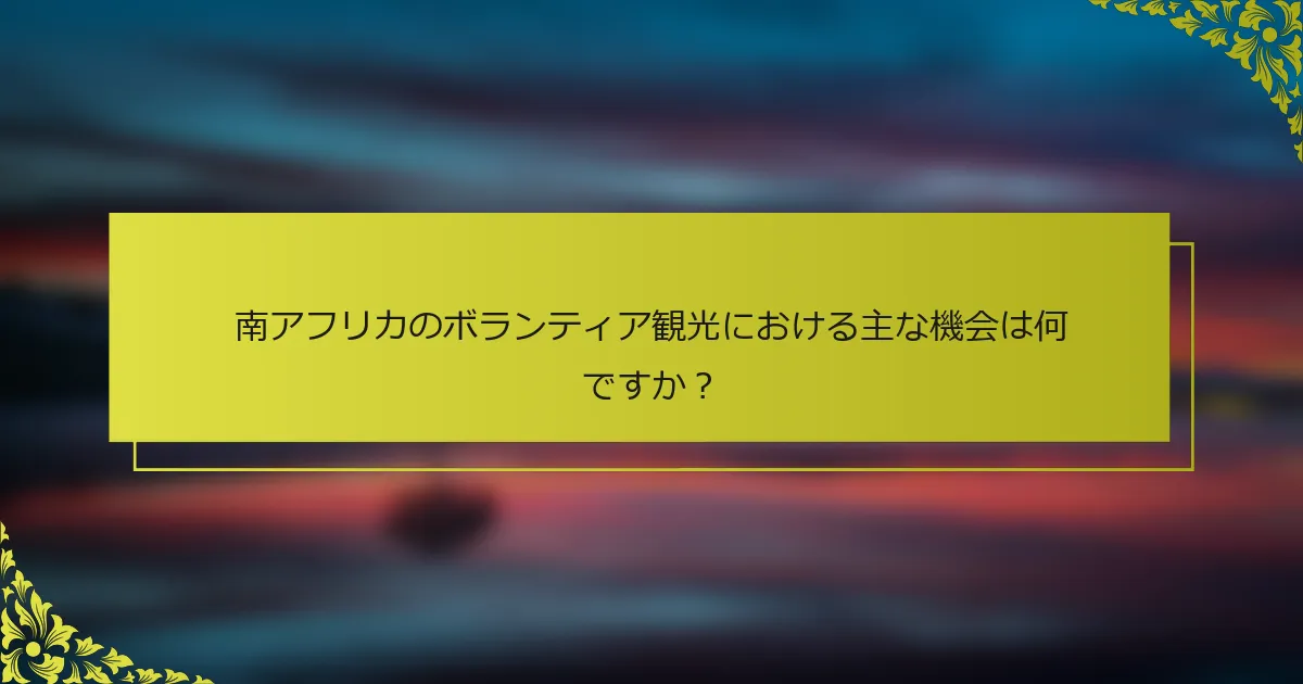 南アフリカのボランティア観光における主な機会は何ですか？