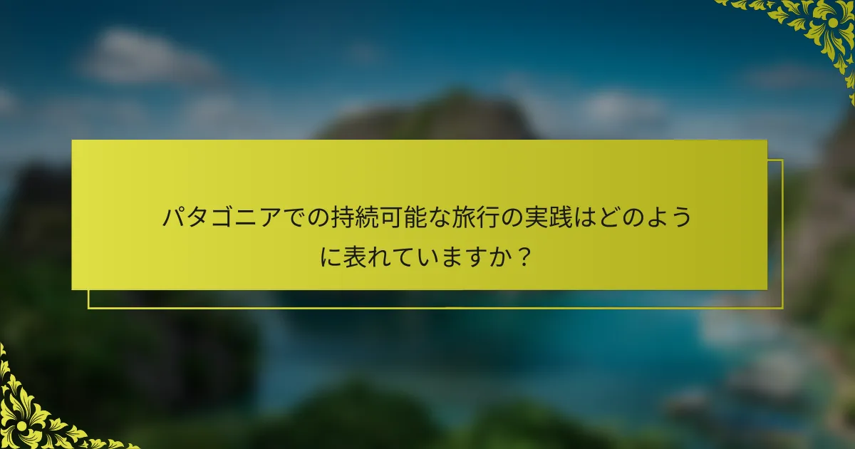 パタゴニアでの持続可能な旅行の実践はどのように表れていますか？