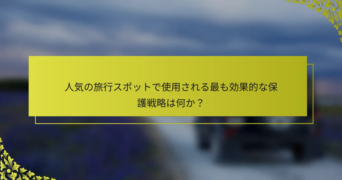 人気の旅行スポットで使用される最も効果的な保護戦略は何か？