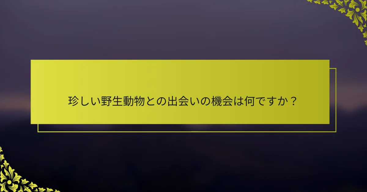 珍しい野生動物との出会いの機会は何ですか？